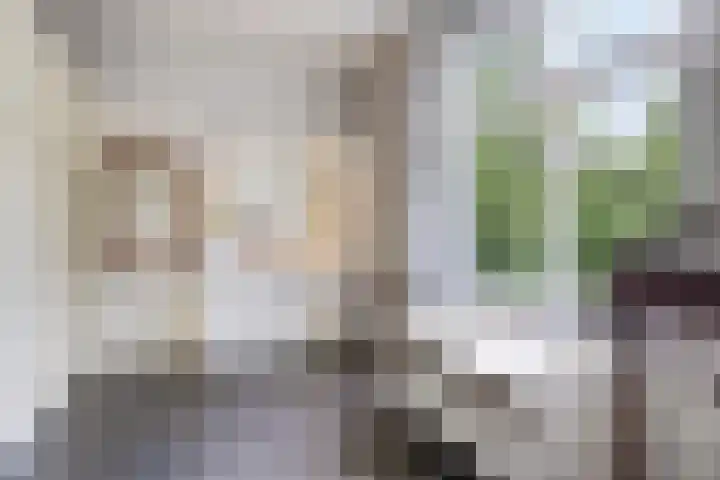 de Beaufortweg 1 Doorn thumbnail 32