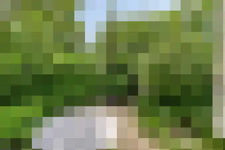 de Beaufortweg 1 Doorn thumbnail 34