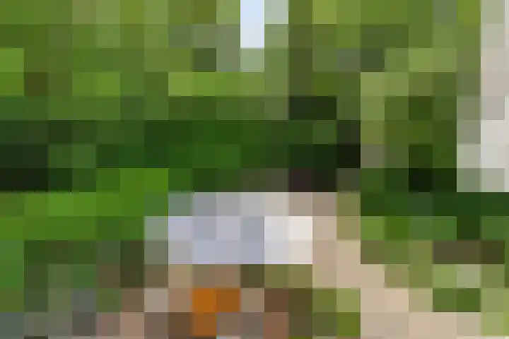 de Beaufortweg 1 Doorn thumbnail 35