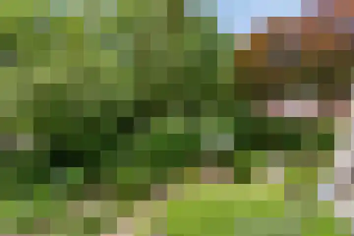 de Beaufortweg 1 Doorn thumbnail 36