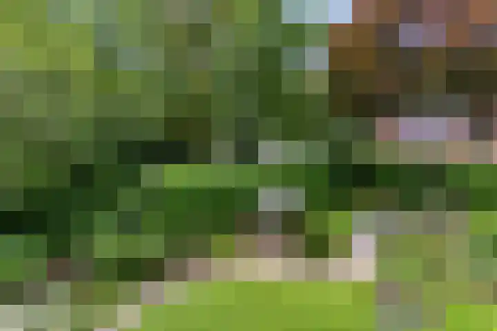 de Beaufortweg 1 Doorn thumbnail 37