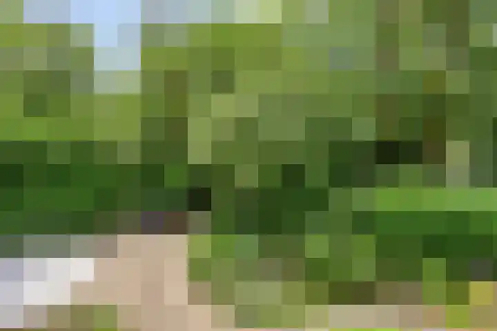 de Beaufortweg 1 Doorn thumbnail 38