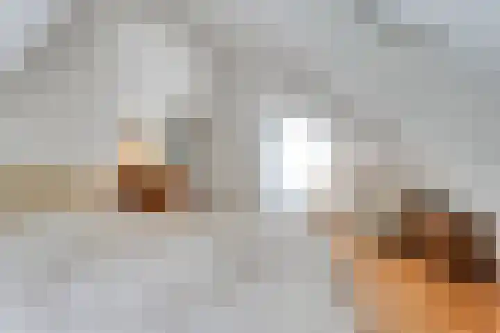 de Beaufortweg 1 Doorn thumbnail 43