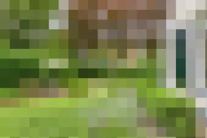 de Beaufortweg 1 Doorn thumbnail 44