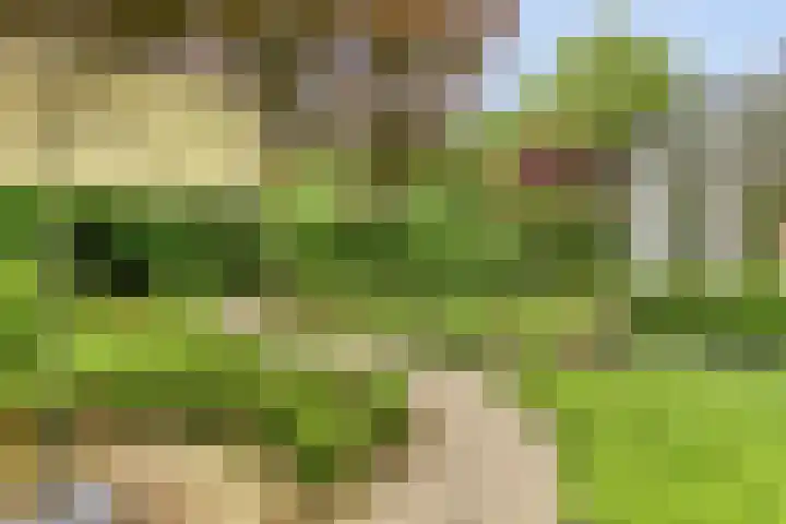 de Beaufortweg 1 Doorn thumbnail 47