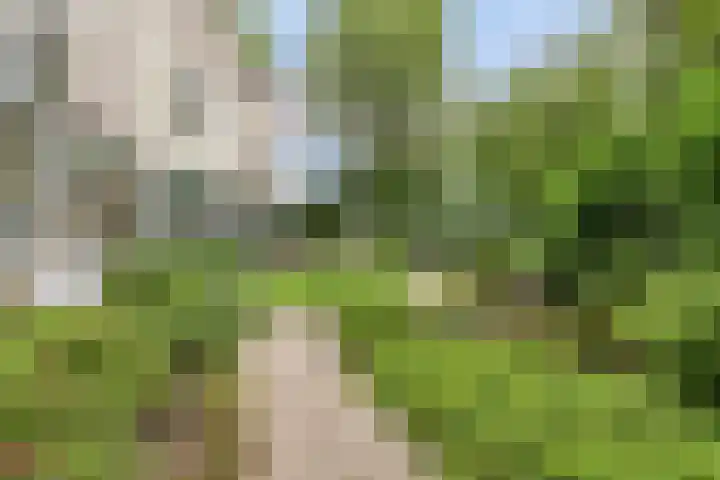 de Beaufortweg 1 Doorn thumbnail 48