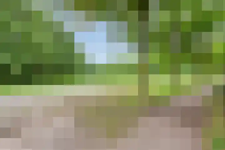 de Beaufortweg 1 Doorn thumbnail 49