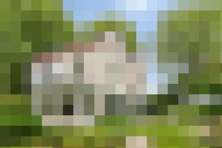 de Beaufortweg 1 Doorn thumbnail 5