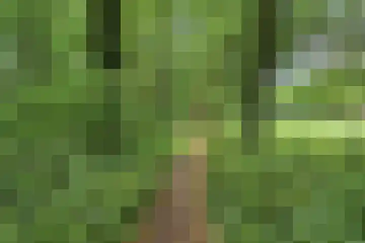 de Beaufortweg 1 Doorn thumbnail 51
