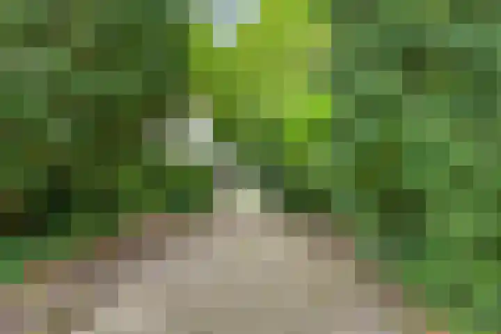 de Beaufortweg 1 Doorn thumbnail 6