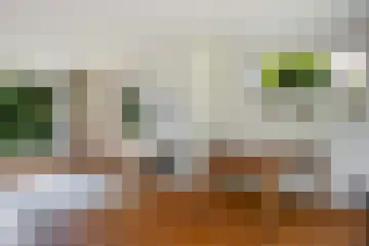 de Beaufortweg 13 Doorn thumbnail 11