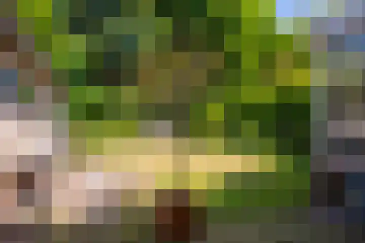 de Beaufortweg 13 Doorn thumbnail 16