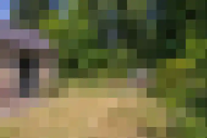 de Beaufortweg 13 Doorn thumbnail 17