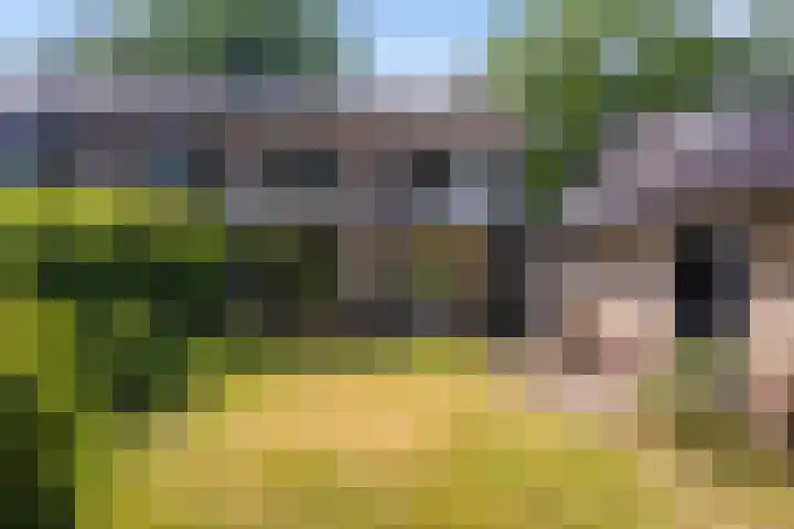 de Beaufortweg 13 Doorn thumbnail 18