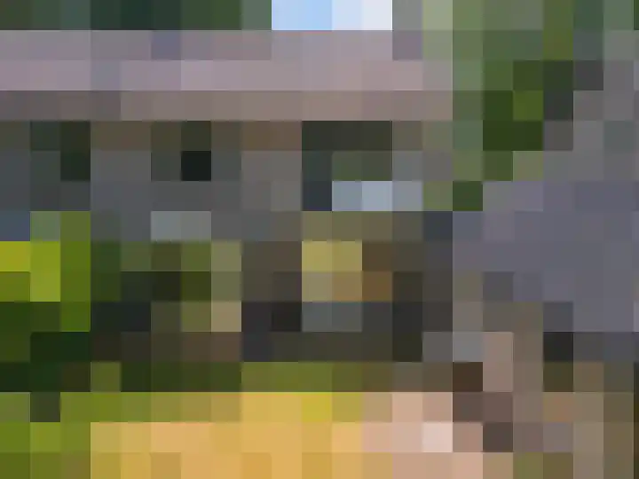 de Beaufortweg 13 Doorn thumbnail 19