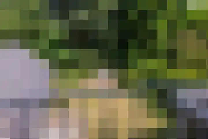 de Beaufortweg 13 Doorn thumbnail 23