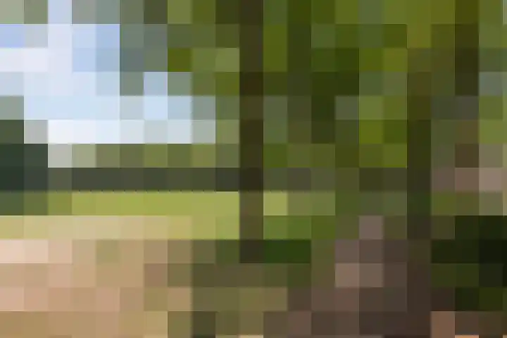 de Beaufortweg 13 Doorn thumbnail 35