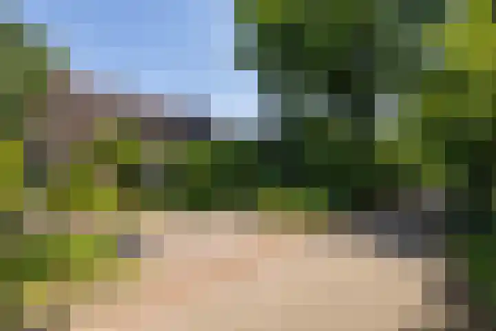 de Beaufortweg 13 Doorn thumbnail 6