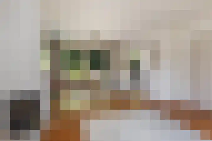 de Beaufortweg 13 Doorn thumbnail 8