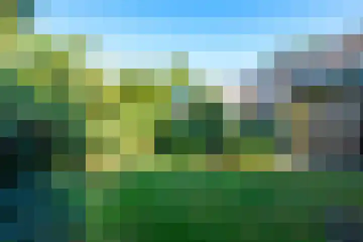 de Beaufortweg 24 Doorn thumbnail 15