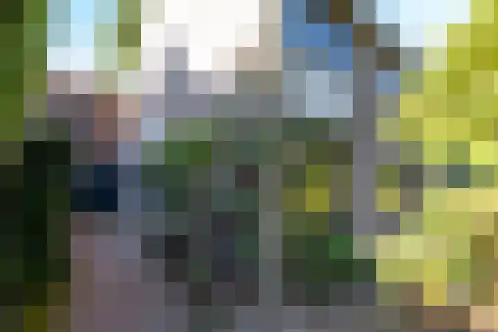 de Beaufortweg 24 Doorn thumbnail 36