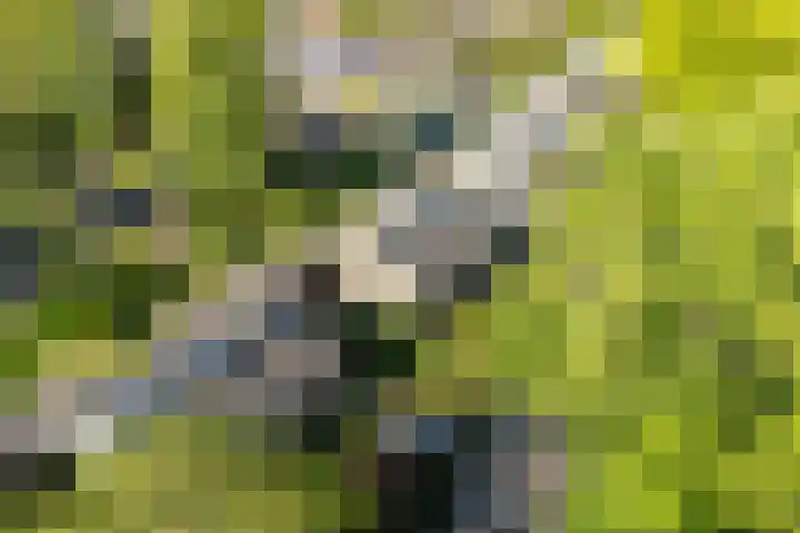 de Beaufortweg 24 Doorn thumbnail 37