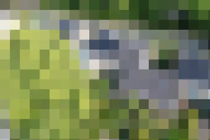 de Beaufortweg 24 Doorn thumbnail 39