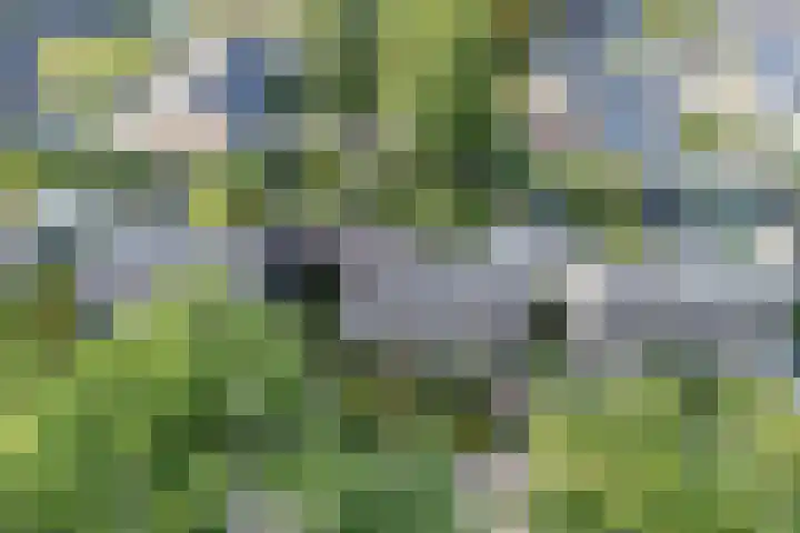 de Beaufortweg 24 Doorn thumbnail 40