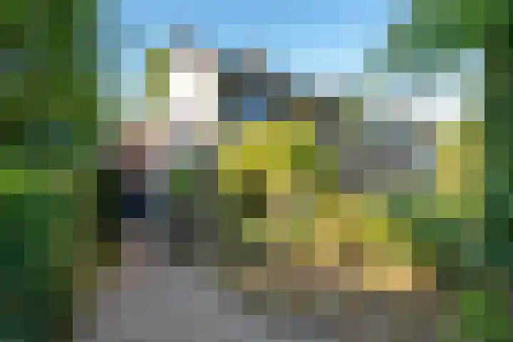 de Beaufortweg 24 Doorn thumbnail 53