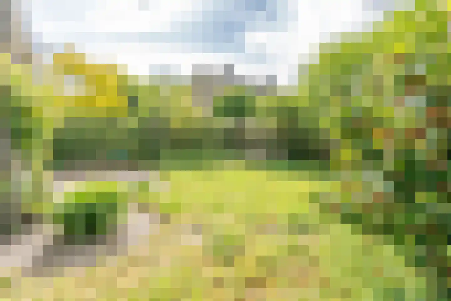 de Beaufortweg 32 Doorn thumbnail 17