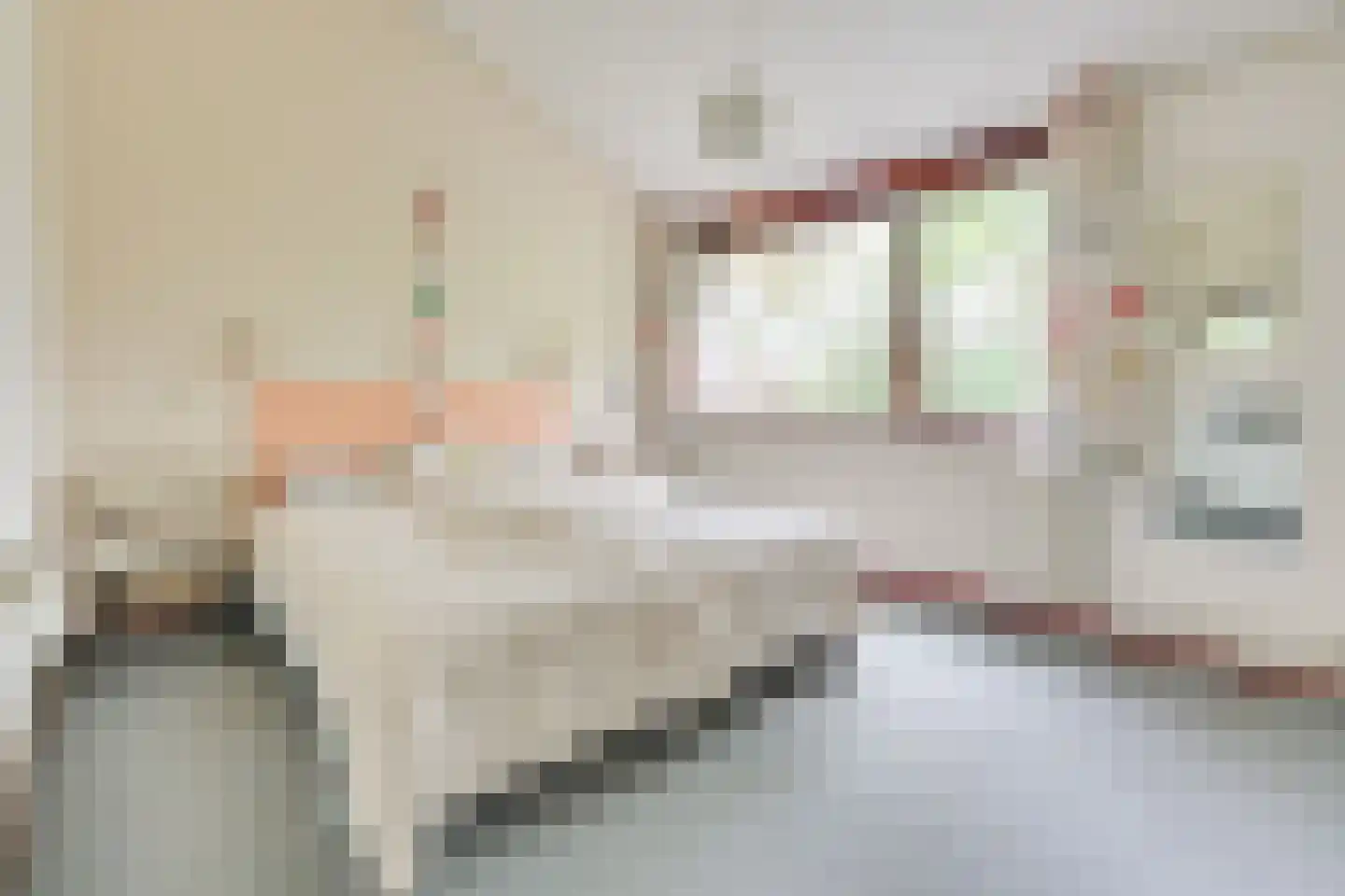 de Beaufortweg 32 Doorn thumbnail 21
