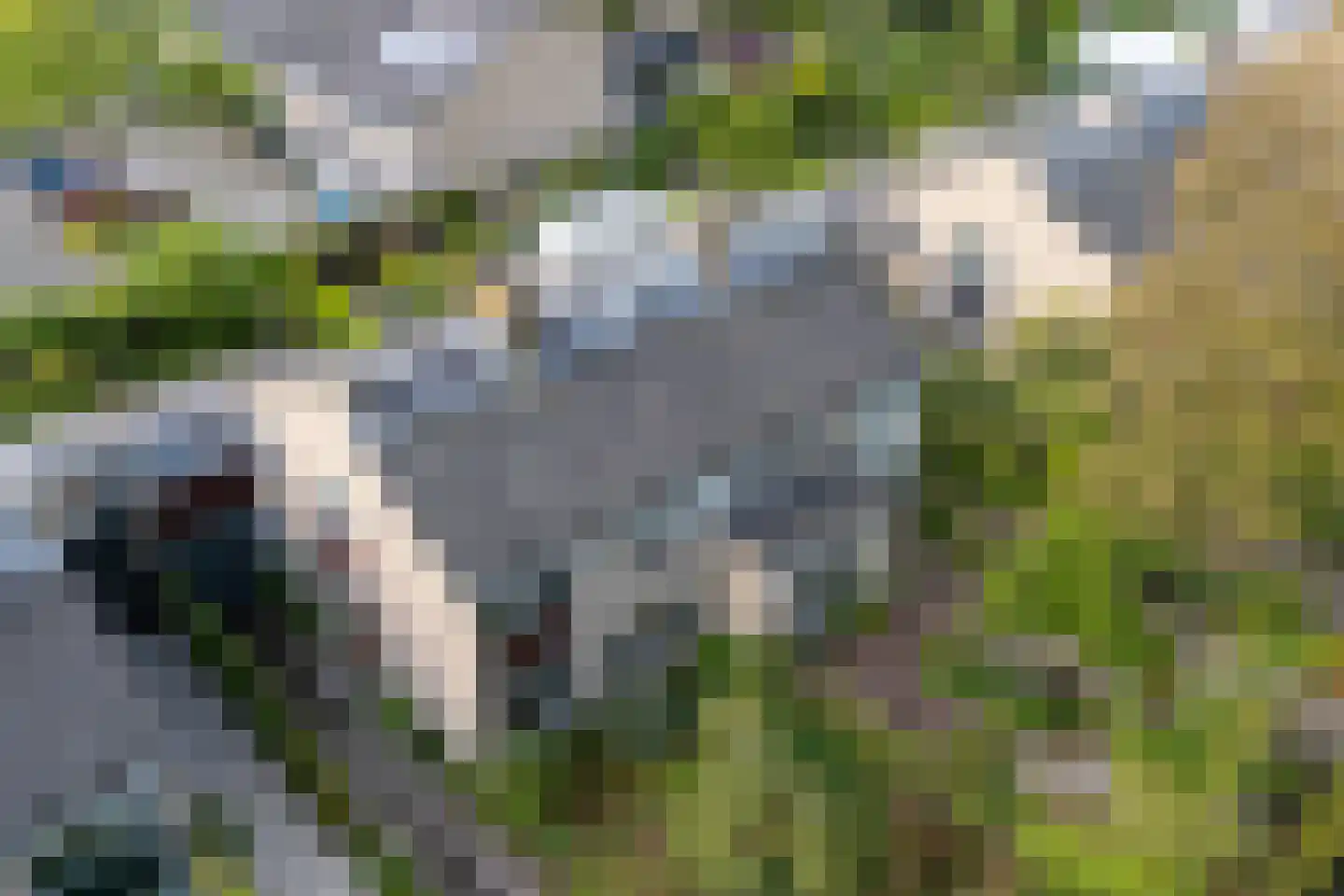 de Beaufortweg 32 Doorn thumbnail 38