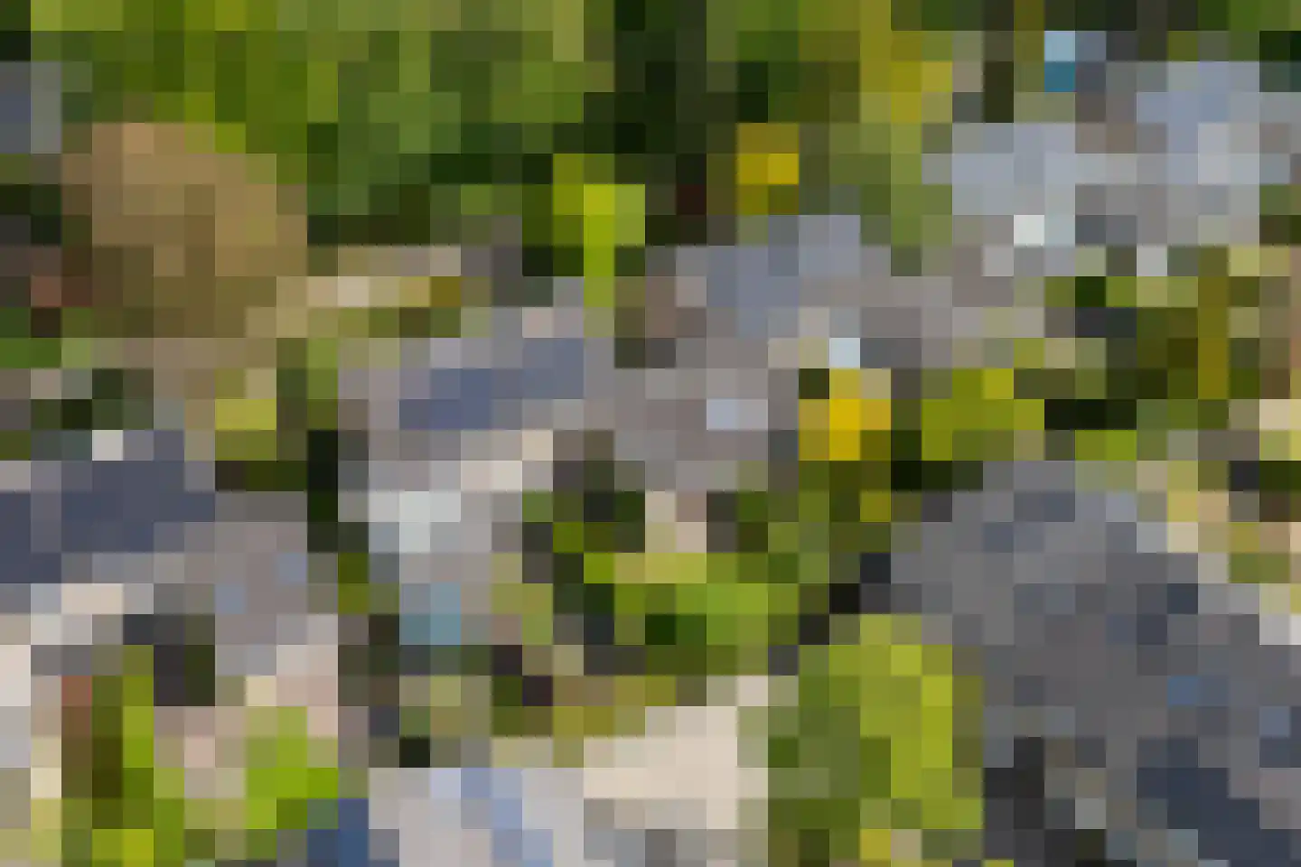 de Beaufortweg 32 Doorn thumbnail 40