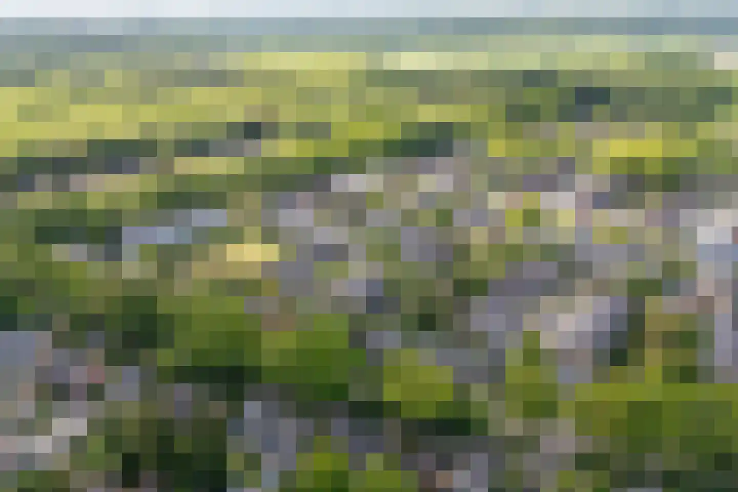 de Beaufortweg 32 Doorn thumbnail 41