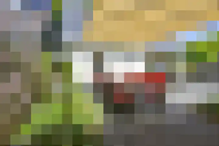 de Beaufortweg 50 Doorn thumbnail 20