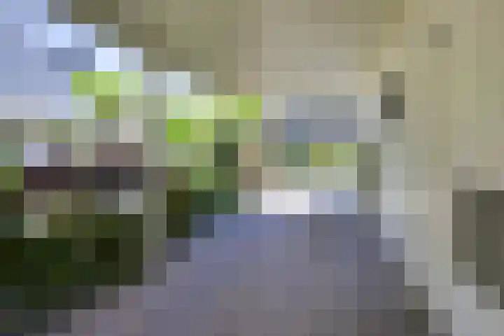 de Beaufortweg 50 Doorn thumbnail 36