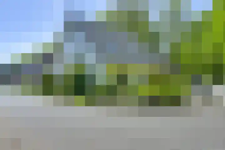 de Beaufortweg 50 Doorn thumbnail 38