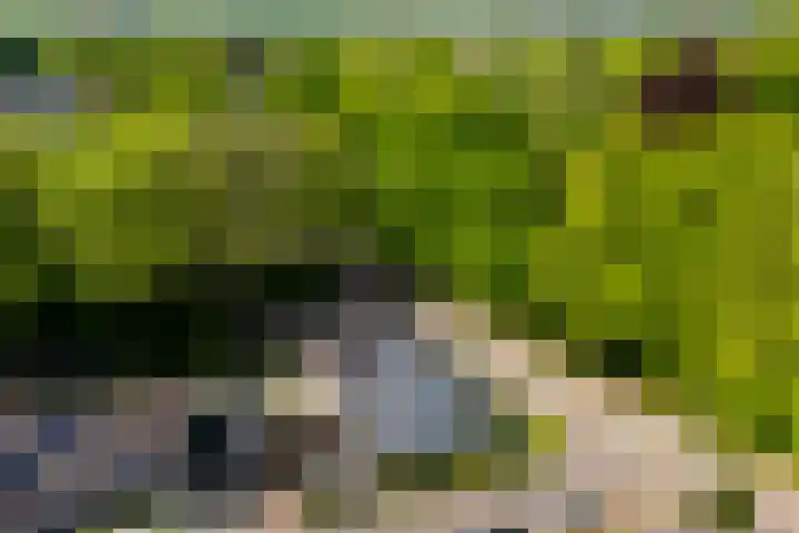 de Beaufortweg 50 Doorn thumbnail 39