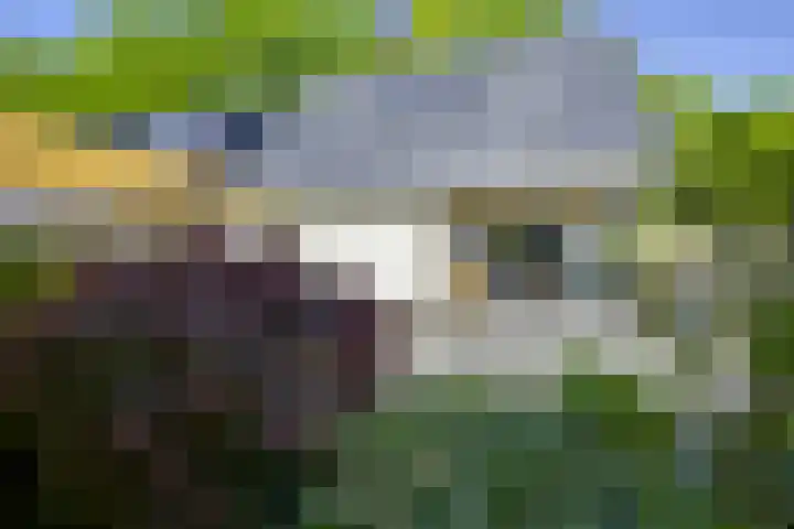 de Beaufortweg 50 Doorn thumbnail 4