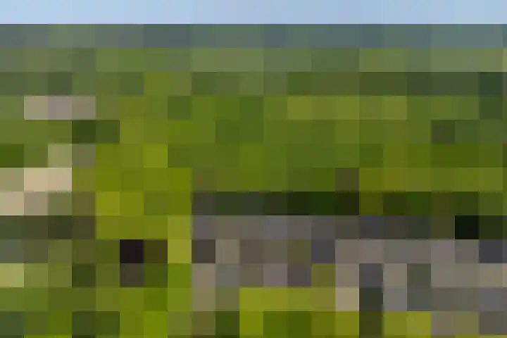 de Beaufortweg 50 Doorn thumbnail 5