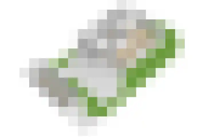 de Beaufortweg 50 Doorn thumbnail 50