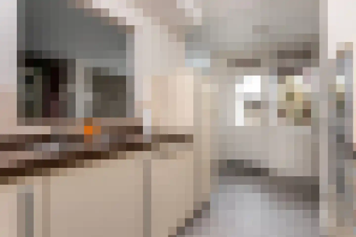 De Beaufortweg 8 Austerlitz thumbnail 13