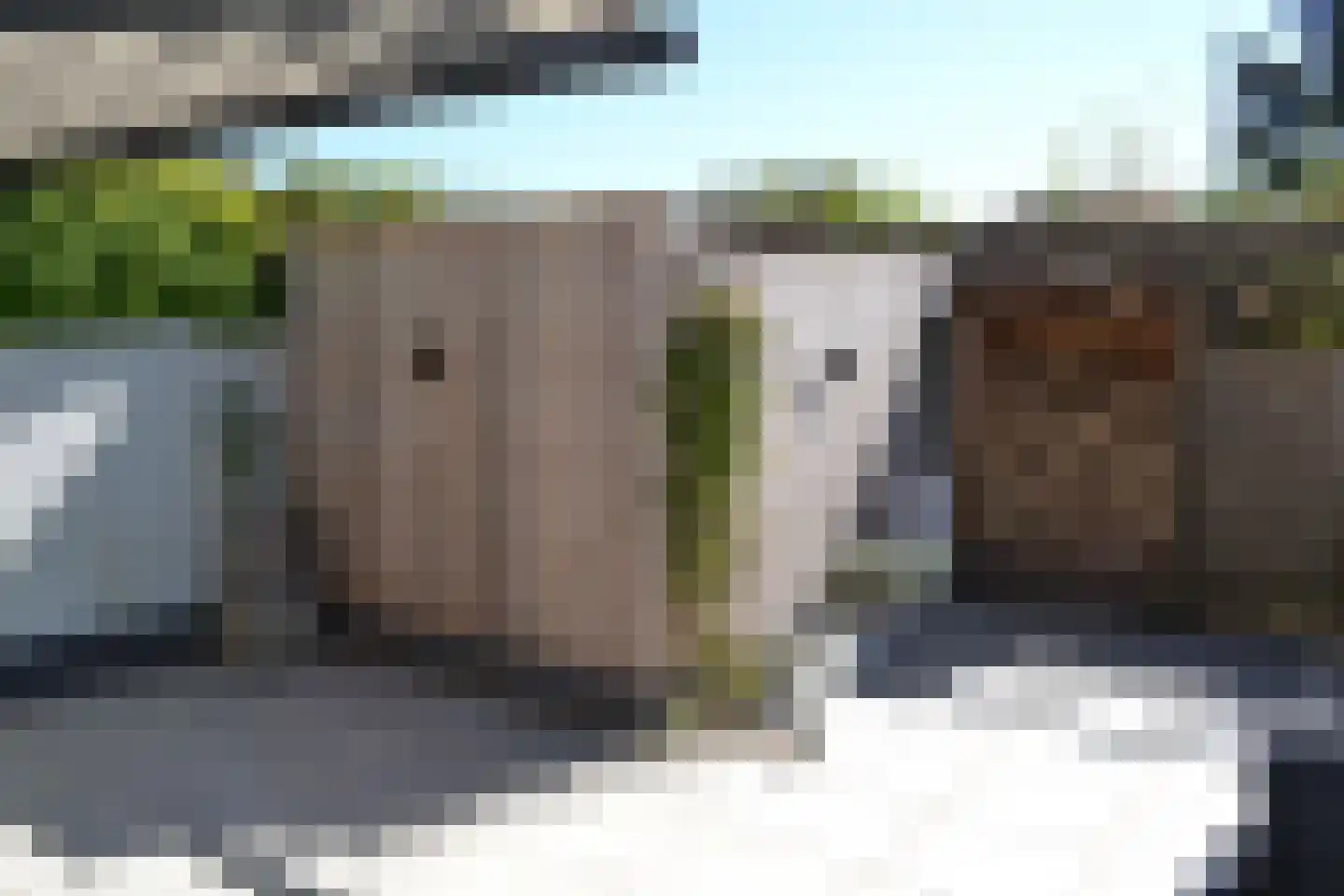 De Beaufortweg 8 Austerlitz thumbnail 15