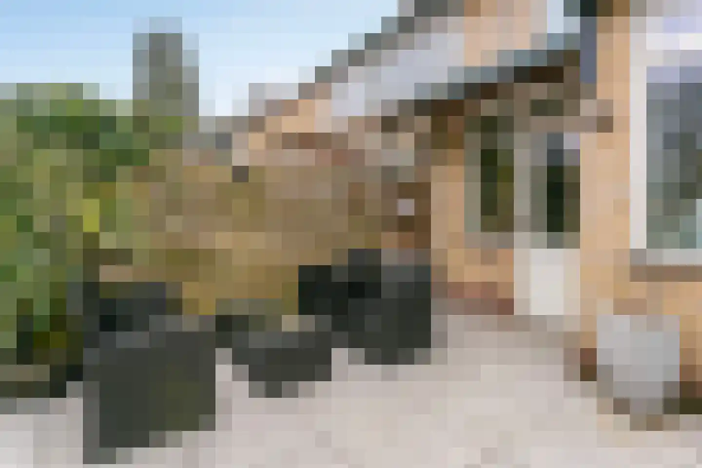 De Beaufortweg 8 Austerlitz thumbnail 17