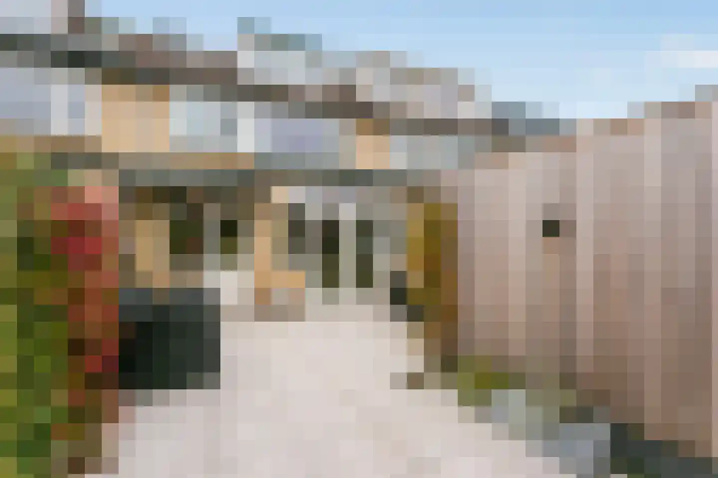 De Beaufortweg 8 Austerlitz thumbnail 18