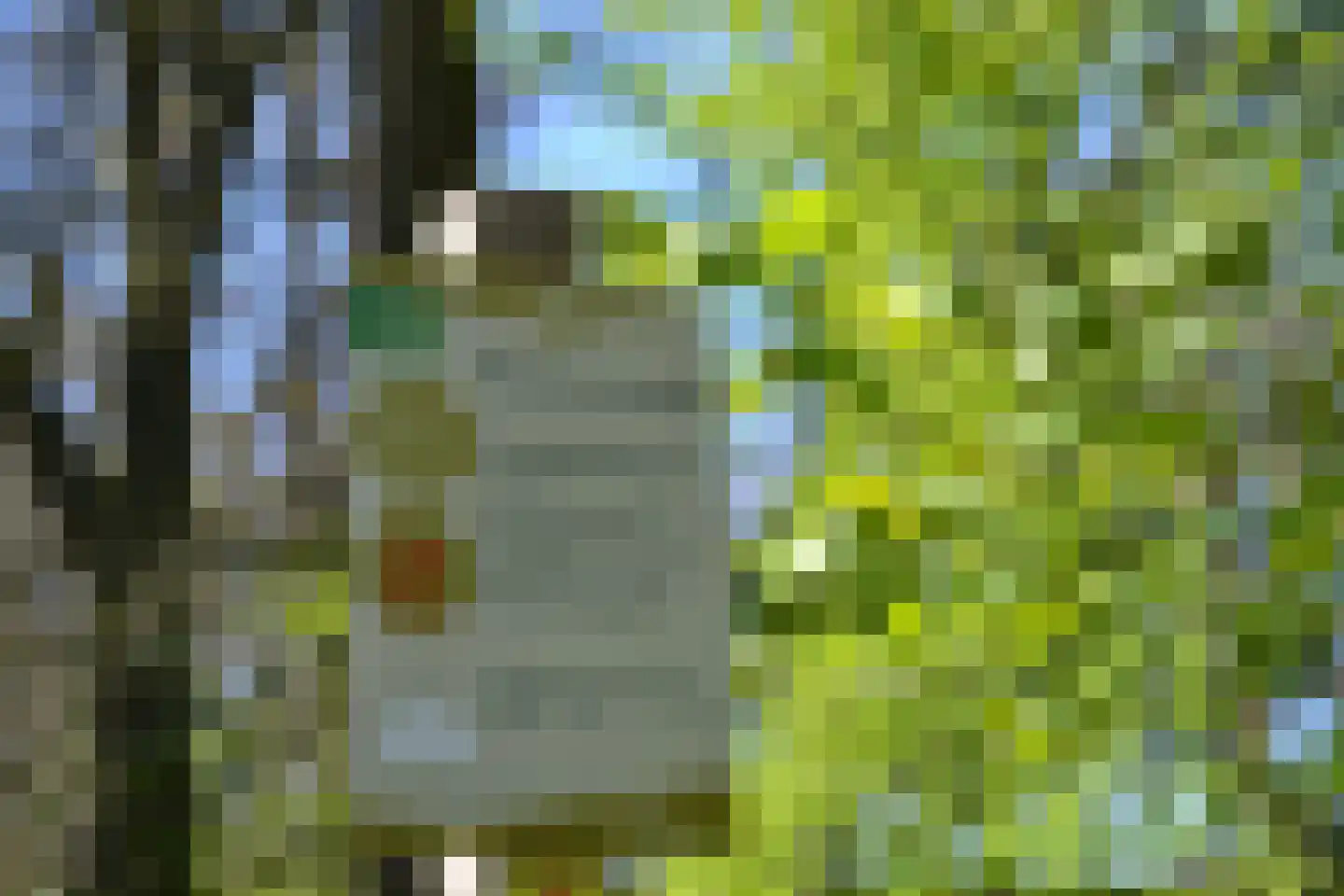 De Beaufortweg 8 Austerlitz thumbnail 33