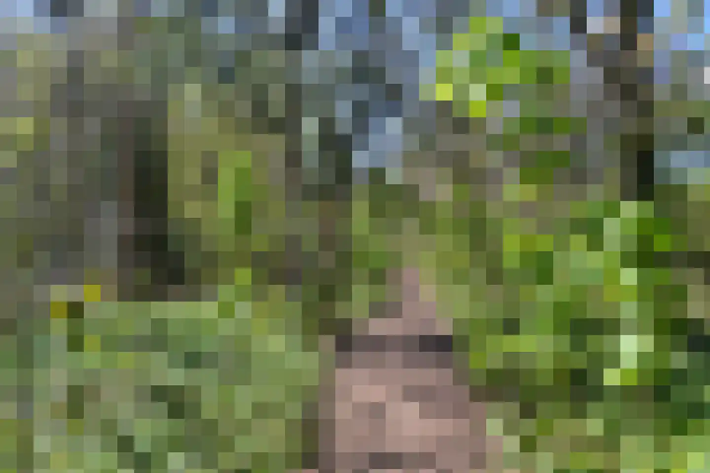 De Beaufortweg 8 Austerlitz thumbnail 34