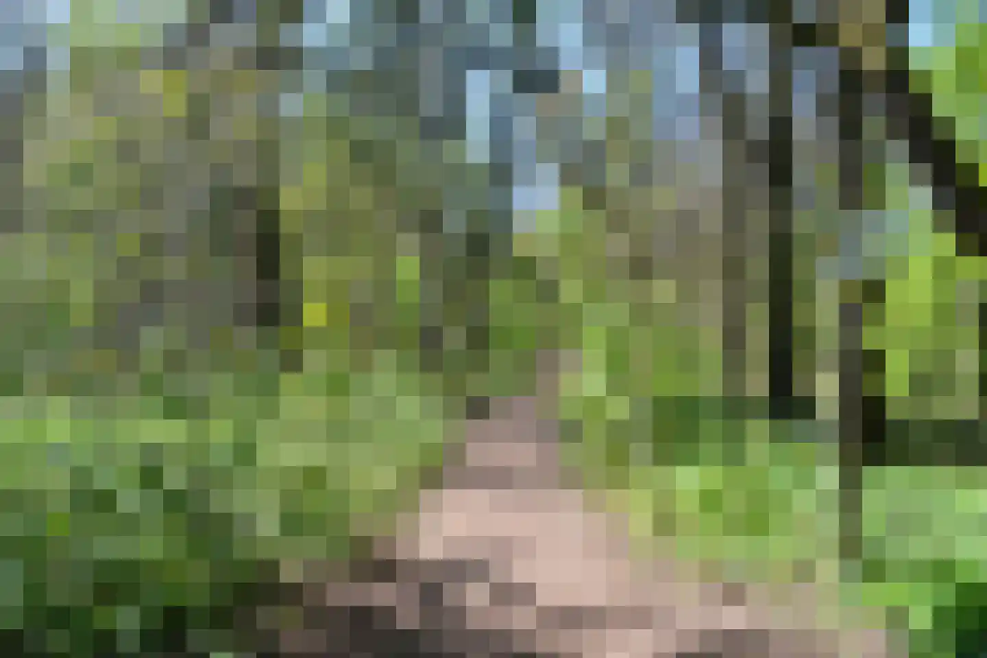 De Beaufortweg 8 Austerlitz thumbnail 35