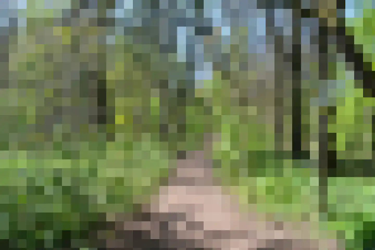 De Beaufortweg 8 Austerlitz thumbnail 41