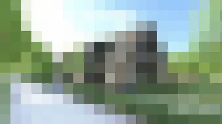 De Beek 77 Ermelo thumbnail 10